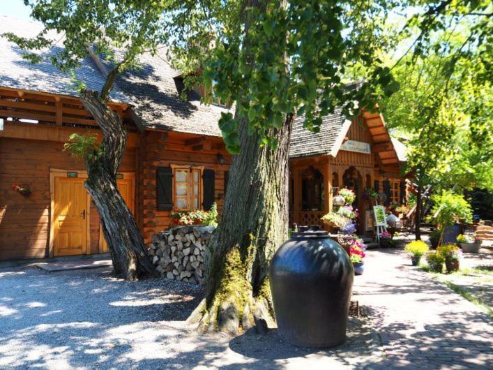 Oberza Pod Zlotym Prosiakiem Hotel Nieborów Kültér fotó